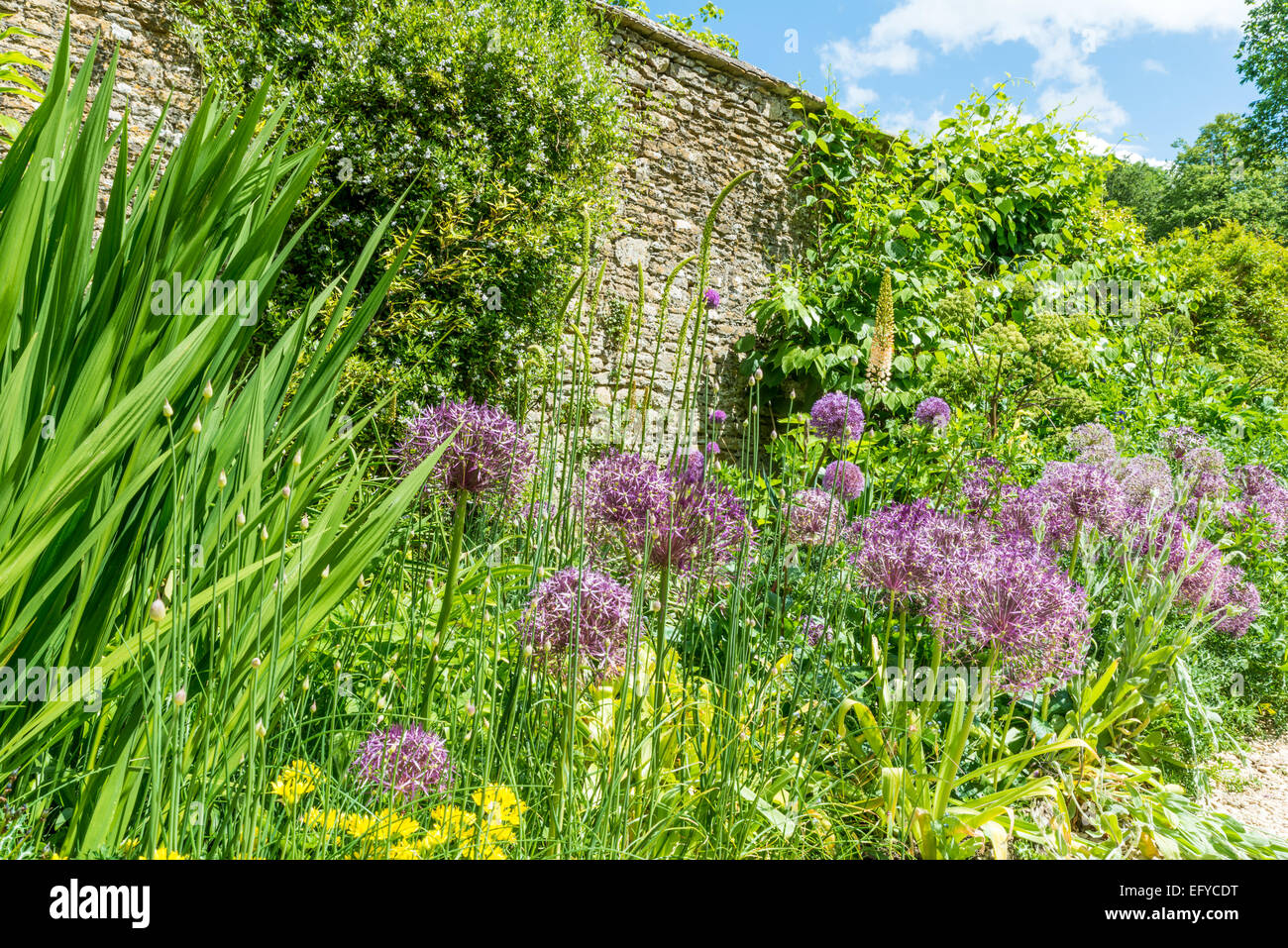 Bellissimo giardino inglese in estate, Lacock Abbey, Wiltshire, Inghilterra Foto Stock