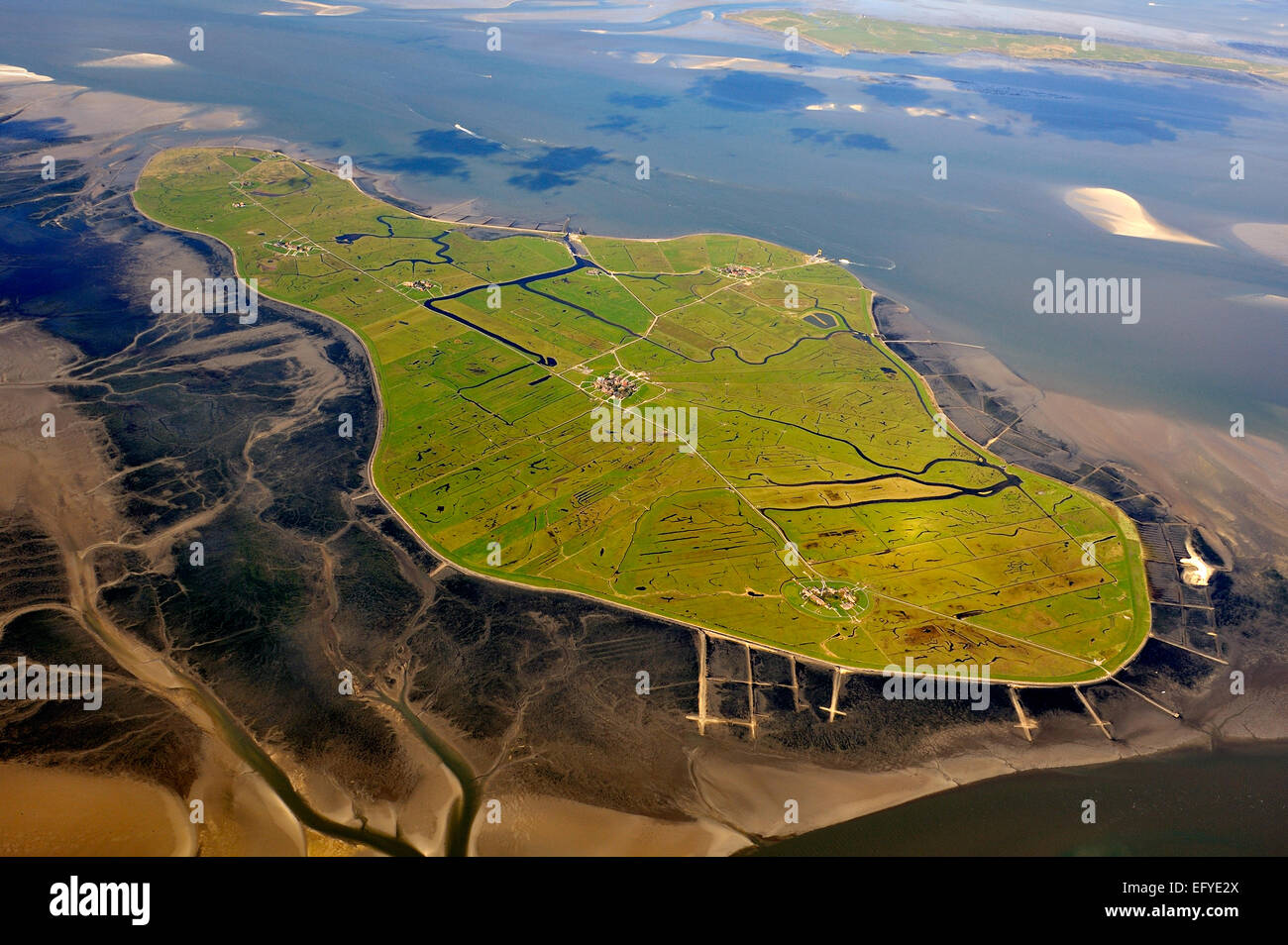 Vista aerea, Hallig Hooge, Hooge holm nel mare di Wadden, Mare del Nord, Nord Frisia, Schleswig-Holstein, Germania Foto Stock