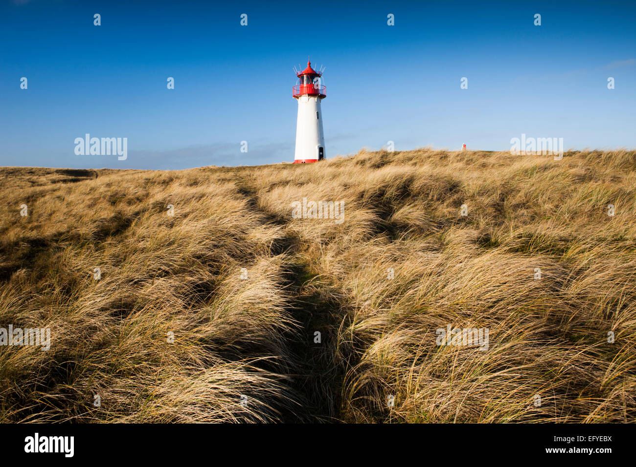 Elenco West Lighthouse, Ellenbogen, Sylt, Frisia settentrionale, Schleswig-Holstein, Germania Foto Stock