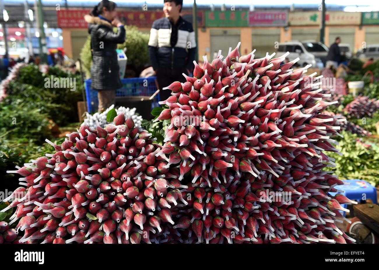 Kunming, la Cina della provincia dello Yunnan. 12 Feb, 2015. Rose rosse sono impilati in un mercato dei fiori in Kunming, capitale del sud-ovest della Cina di Provincia di Yunnan, Feb 12, 2015. Come il giorno di San Valentino e cinese tradizionale festa della primavera si avvicinano, grandi quantità di fiori freschi sono stati messi sul mercato in Yunnan, della Cina di fiori freschi di produzione e base di esportazione. Attualmente, Yunnan gira su sette miliardi di fiori un anno, sostenendo oltre il 70 percento del mercato tra le grandi e medie città in Cina. Credito: Lin Yiguang/Xinhua/Alamy Live News Foto Stock