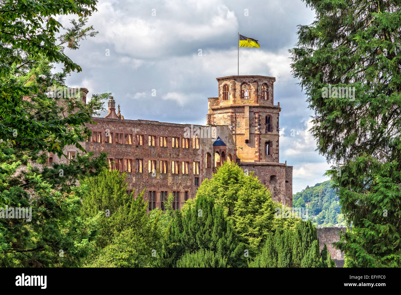 Castello di Heidelberg, Heidelberg, Baden-Würtemberg, Germania Foto Stock