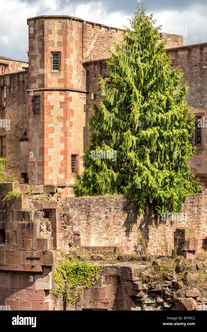 Castello di Heidelberg, Heidelberg, Baden-Würtemberg, Germania Foto Stock