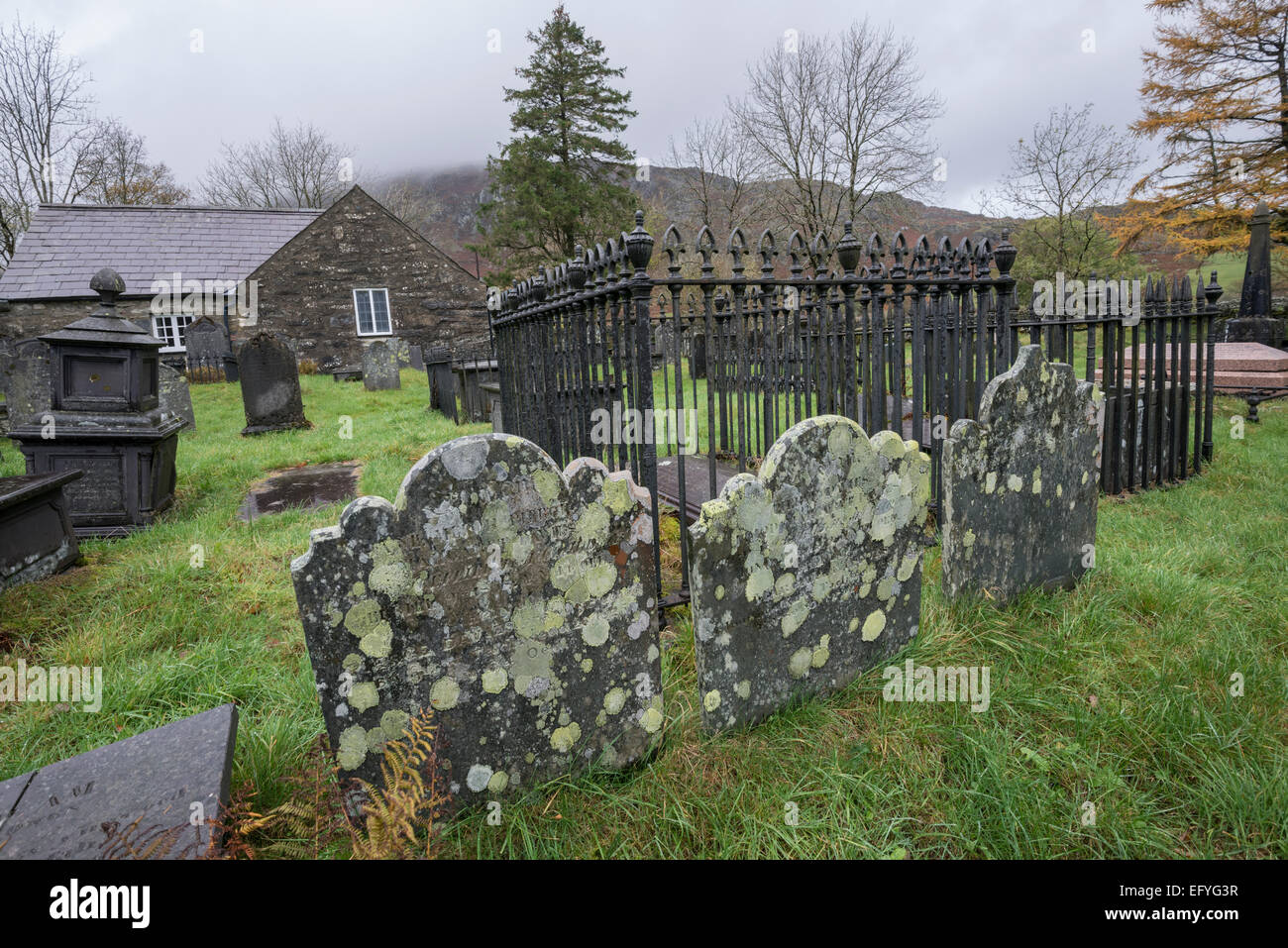 I licheni nel paese sagrato. Capel Curig, Snowdonia, il Galles del nord. Foto Stock