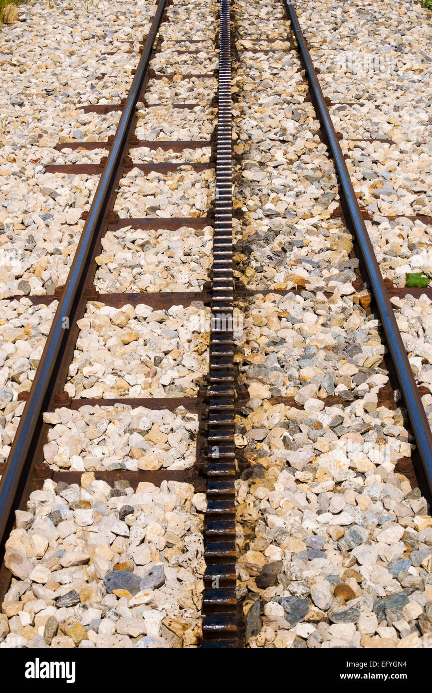 Montagna treno cog linea vicino fino Foto Stock