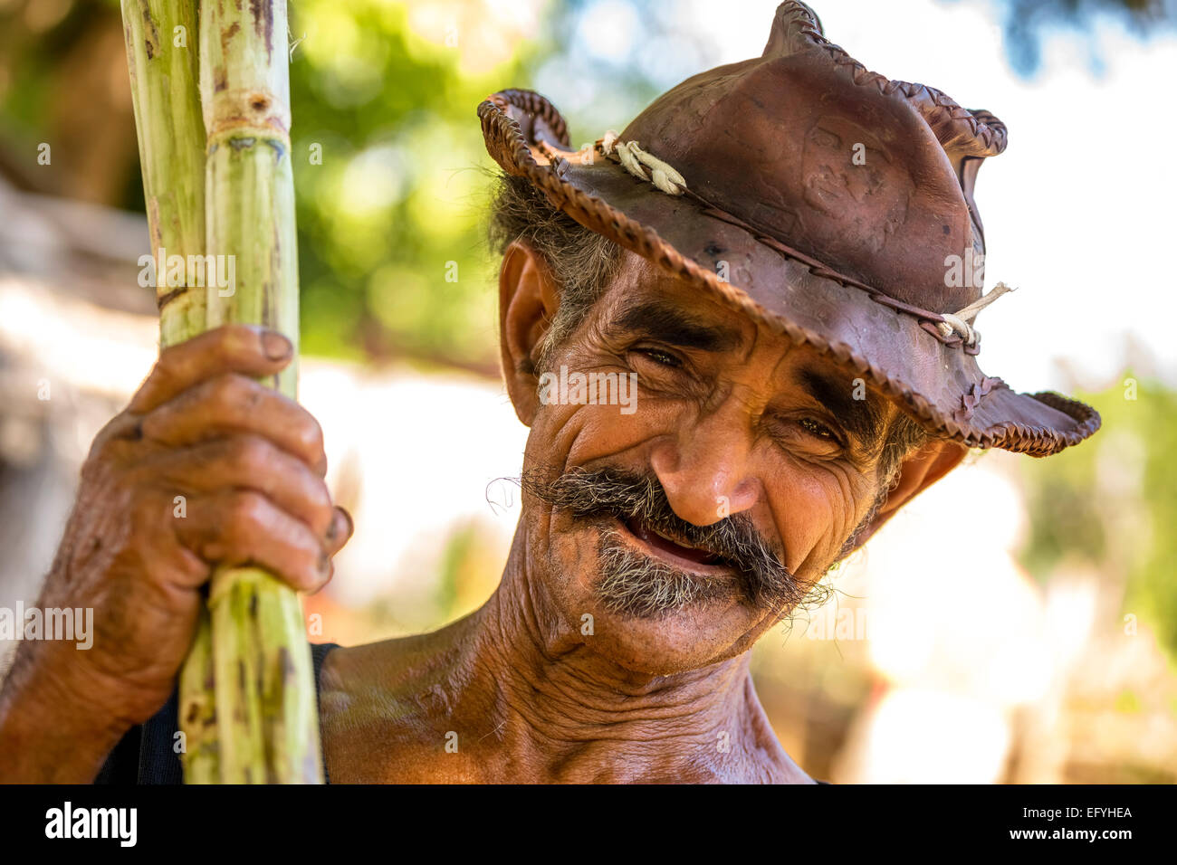 La canna da zucchero l'agricoltore che detiene canne da zucchero e canna da zucchero piantagione e la Valle de los Ingenios, Trinidad, Sancti Spiritus Provincia, Cuba Foto Stock