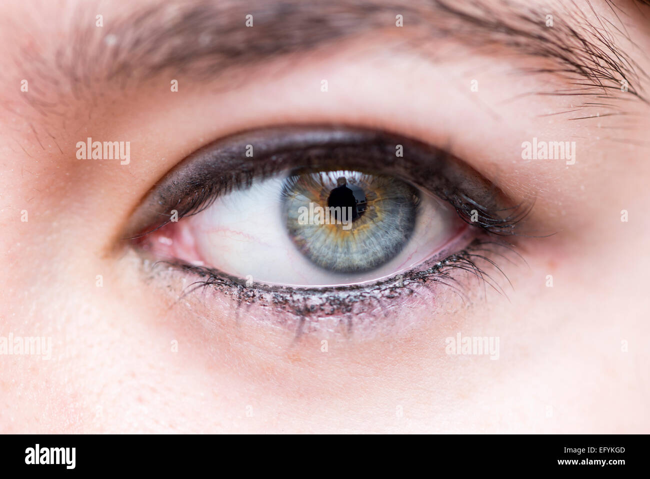 Gli occhi blu di una bella donna Foto Stock