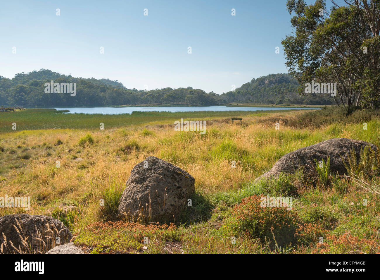 Vista sul lago di Catani, Mount Buffalo National Park Foto Stock