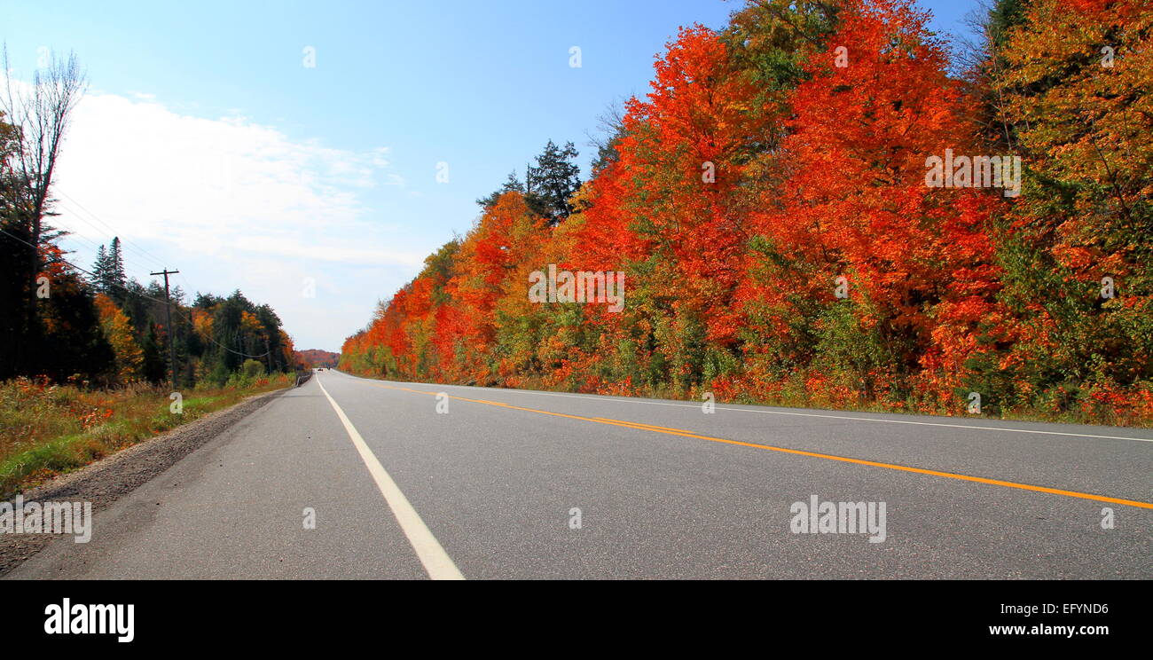 Autostrada passando attraverso l'Algonquin Provincial Park in Ontario, Canada Foto Stock