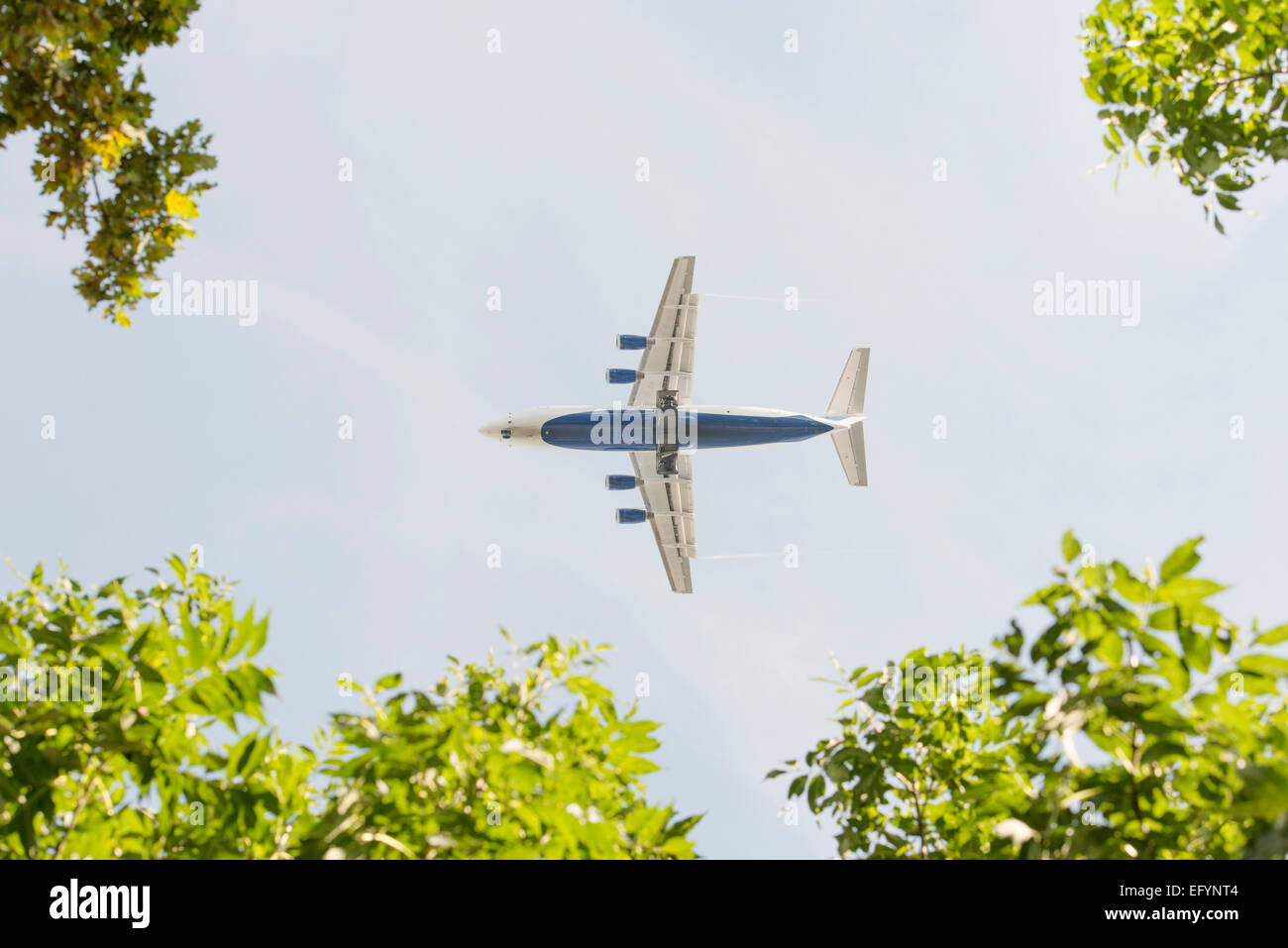 Volo aereo, cielo blu e alberi. Immagine concettuale del viaggio e l'ambiente. Foto Stock