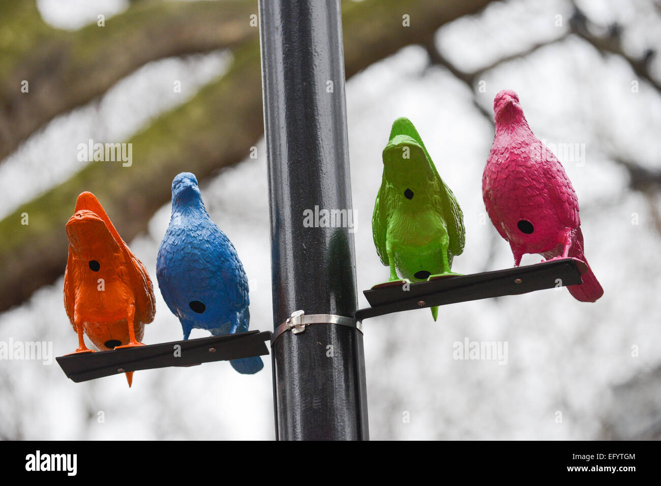 Soho Square, Londra, Regno Unito. Il 12 febbraio 2015. Installazione artistica curata da Sim Smith Gallery, chiamato "gregge" dall'artista Patrick Murphy in Soho. Credito: Matteo Chattle/Alamy Live News Foto Stock