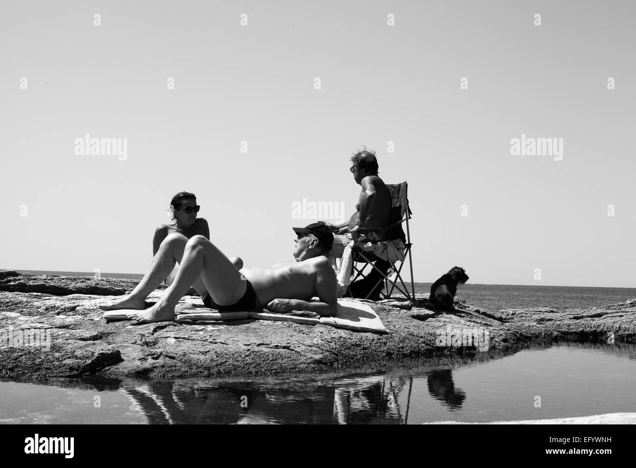 Anziani sulla spiaggia con un cane Foto Stock