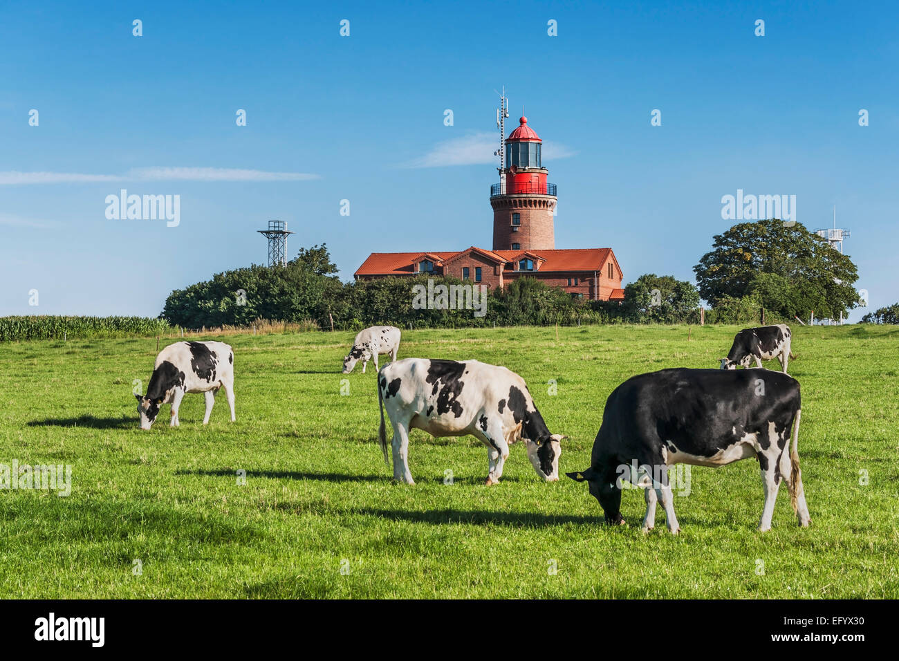 Il faro di Bastorf è situato presso il Mar Baltico, Rostock, Meclemburgo-Pomerania Occidentale, Germania, Europa Foto Stock