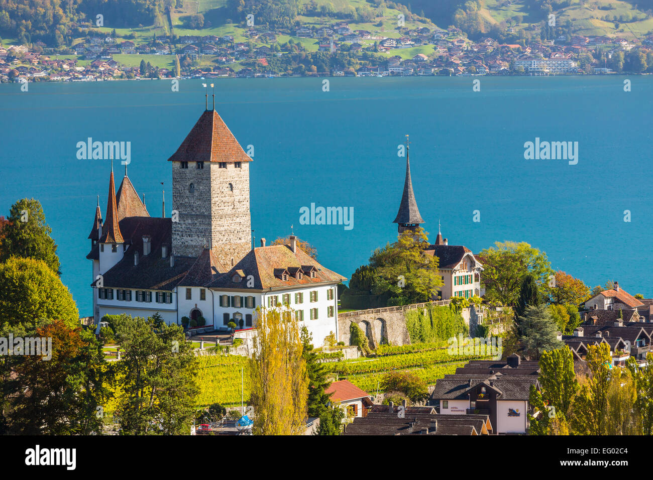 Il castello di Spiez e il Lago di Thun, Oberland bernese, Svizzera. Foto Stock