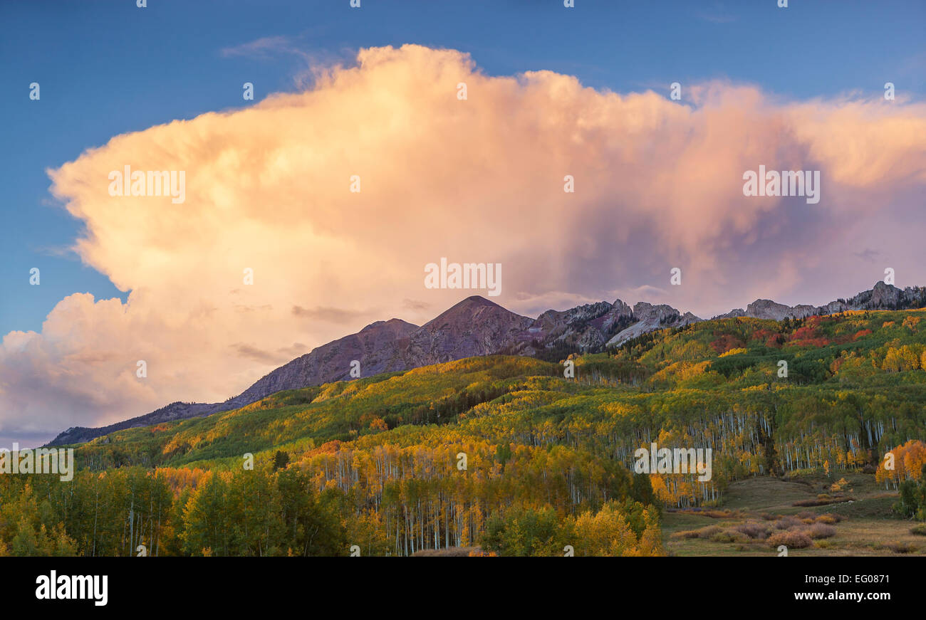 La Foresta Nazionale di Gunnison, CO: Storm cloud nella luce della sera oltre la gamma di Rubino con inizio di caduta di colori su aspen pendii Foto Stock