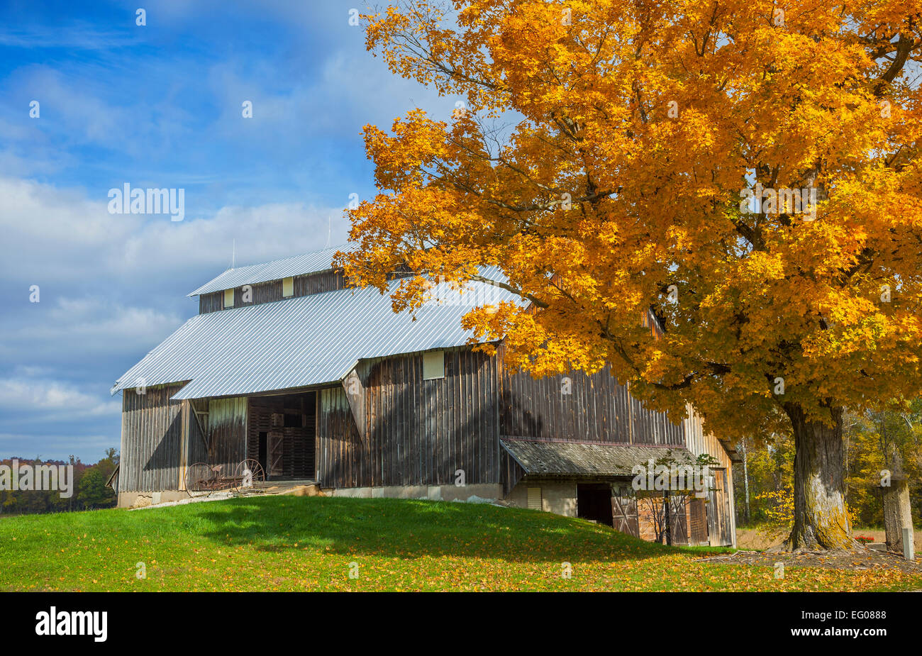 Parke County, In: legno stagionato fienile in autunno Foto Stock