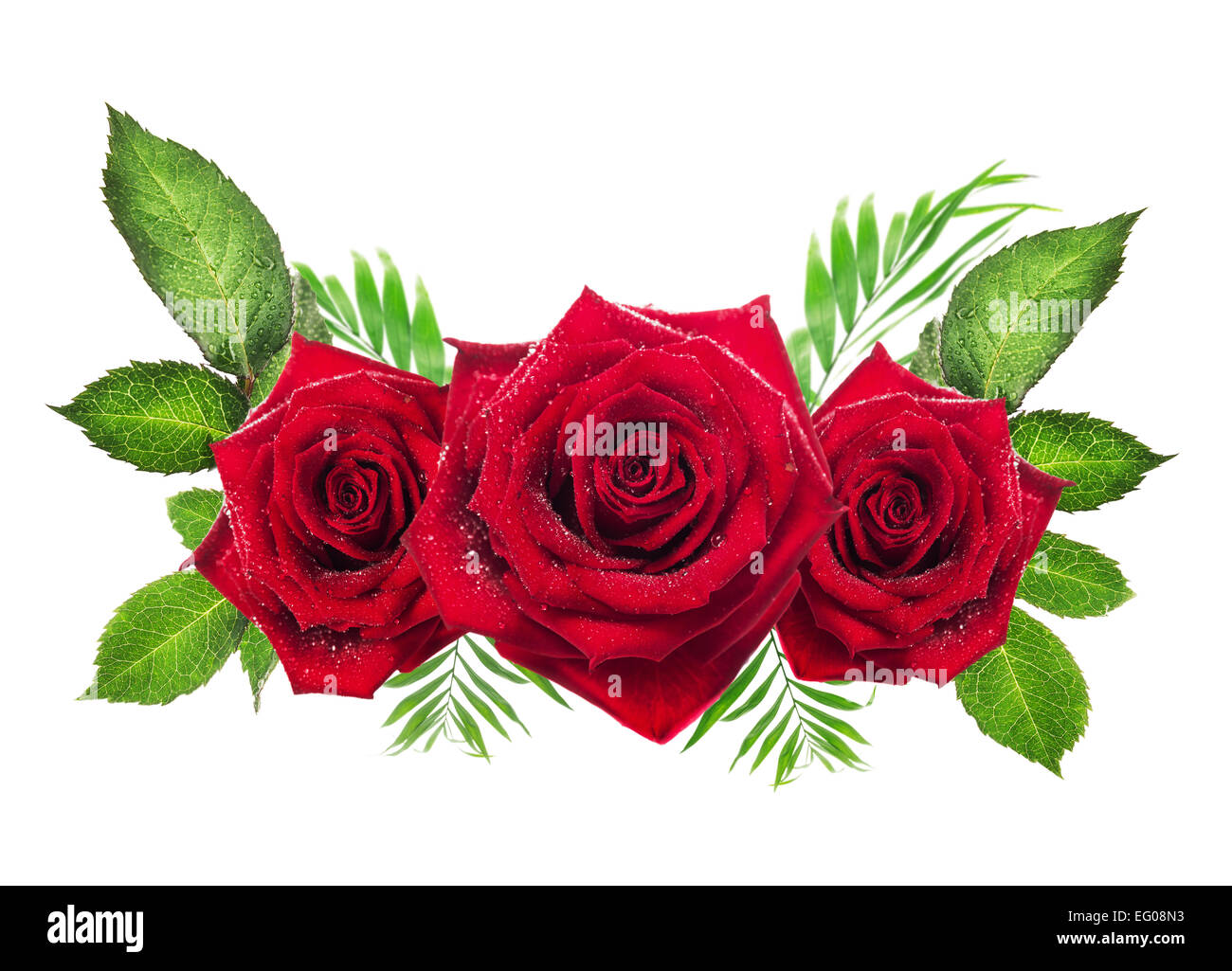 Tre rose rosse con foglie su sfondo bianco, fiori oggetto Foto Stock