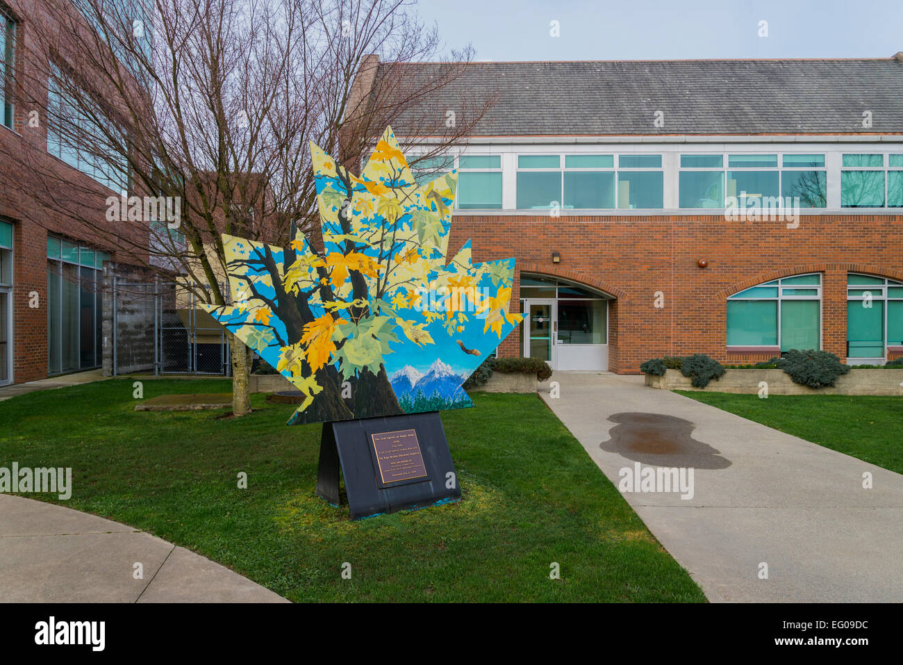 La foglia spiriti di Maple Ridge, arte di installazione da Lisa Lago, complesso comunale, il distretto di Maple Ridge, British Columbia Foto Stock