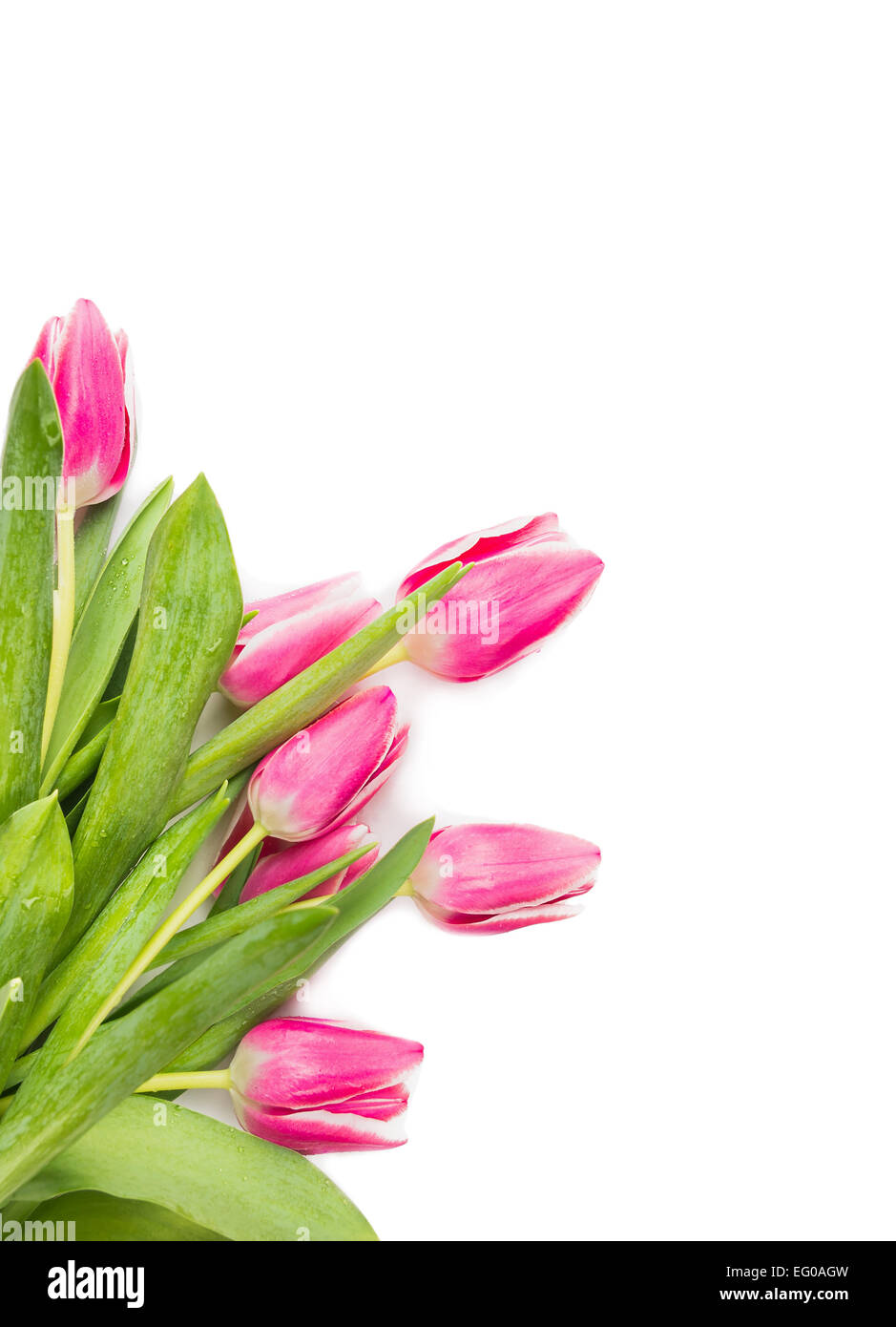 Tulipani rosa a mazzetto in stoffa di ottima qualità
