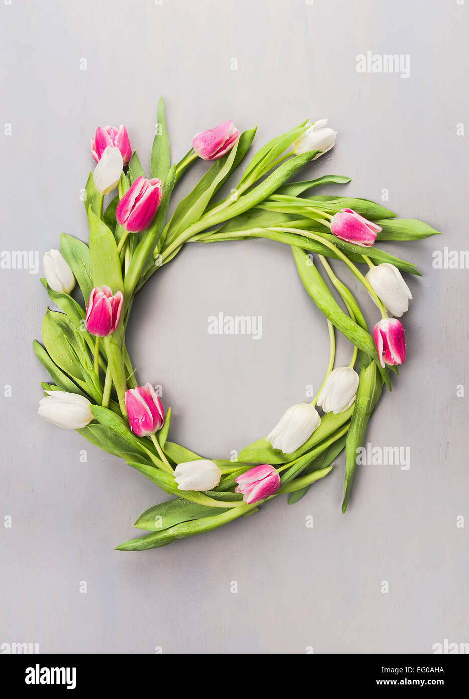 Corona di fiori di colore rosa e bianco tulipani su un muro grigio Foto Stock