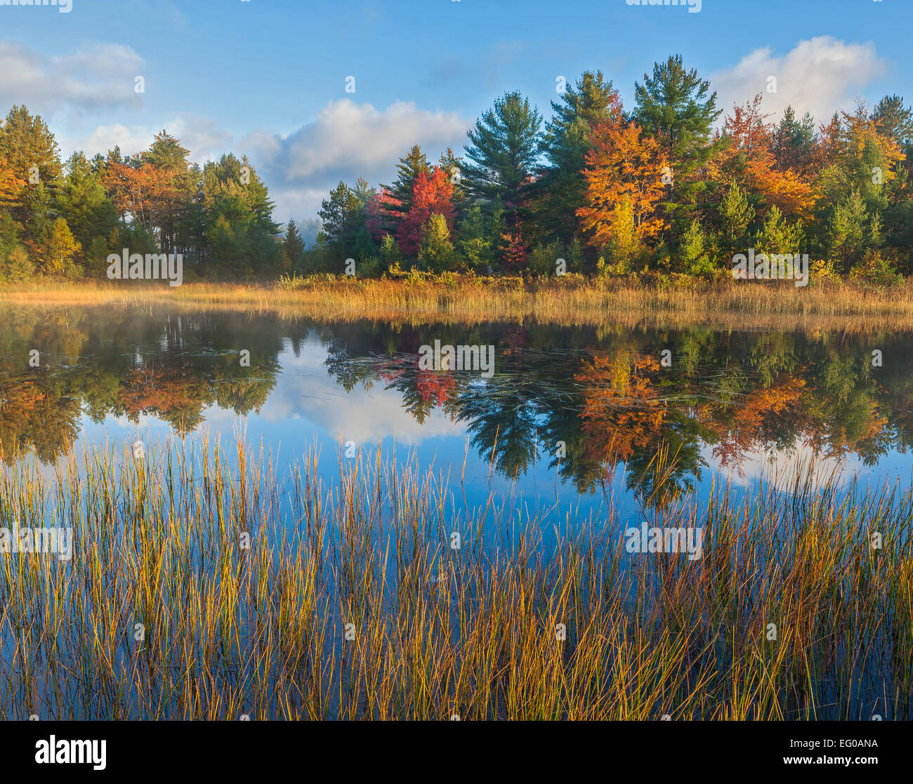 Lago Superiore Forestale dello Stato, Michigan: Alba riflessioni sul Lago di Kingston con autunno foresta colorata Foto Stock