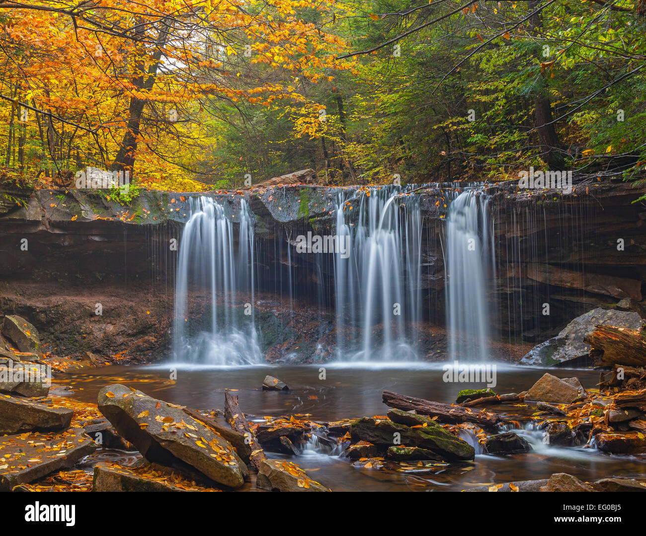 Ricketts Glen State Park, PA: Oneida ricade su cucina Creek in autunno Foto Stock
