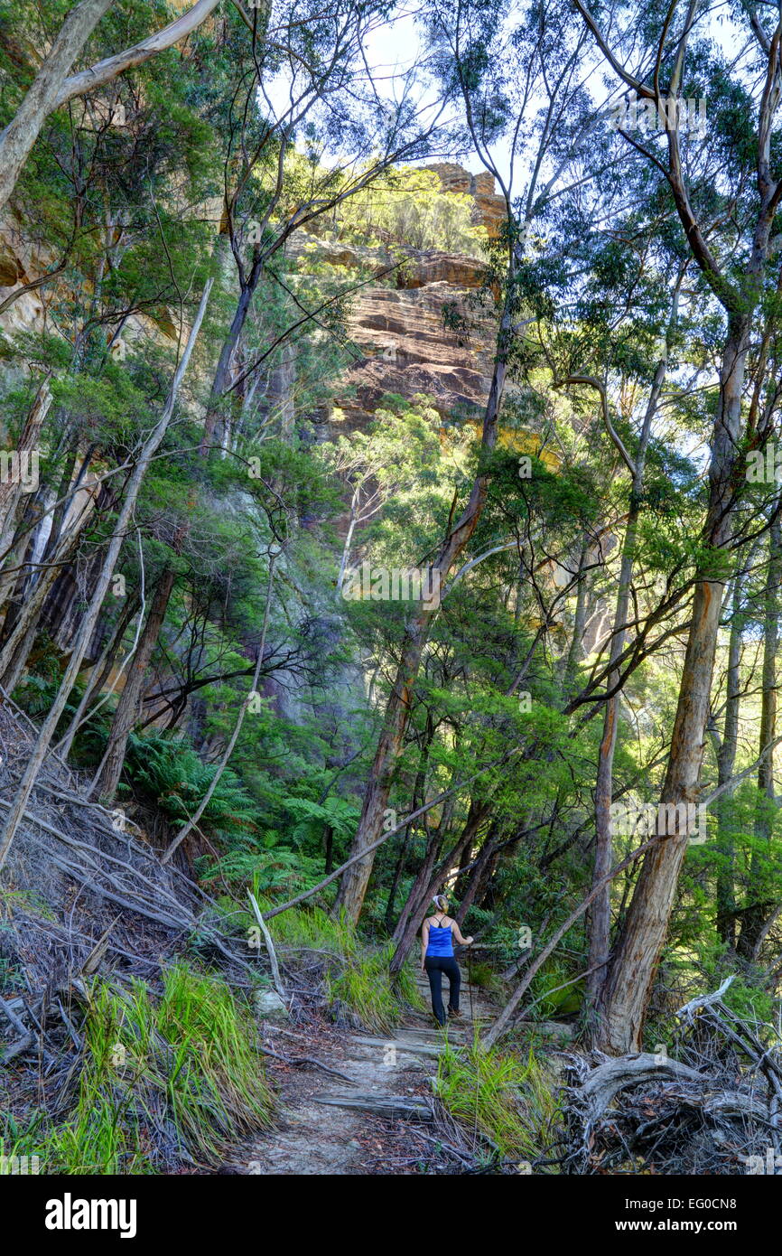A 33 anni femmina bionda pause per godersi la vista su un escursione attraverso Wollemi National Park nel Nuovo Galles del Sud, Australia. Foto Stock
