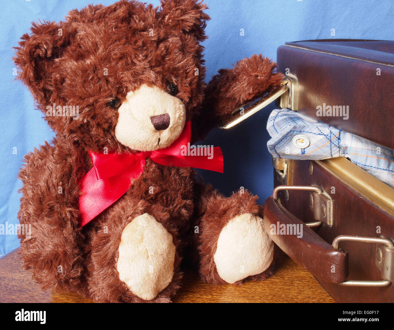 Orsacchiotto di peluche imballaggio per andare in vacanza ma lottando con la valigia Foto Stock