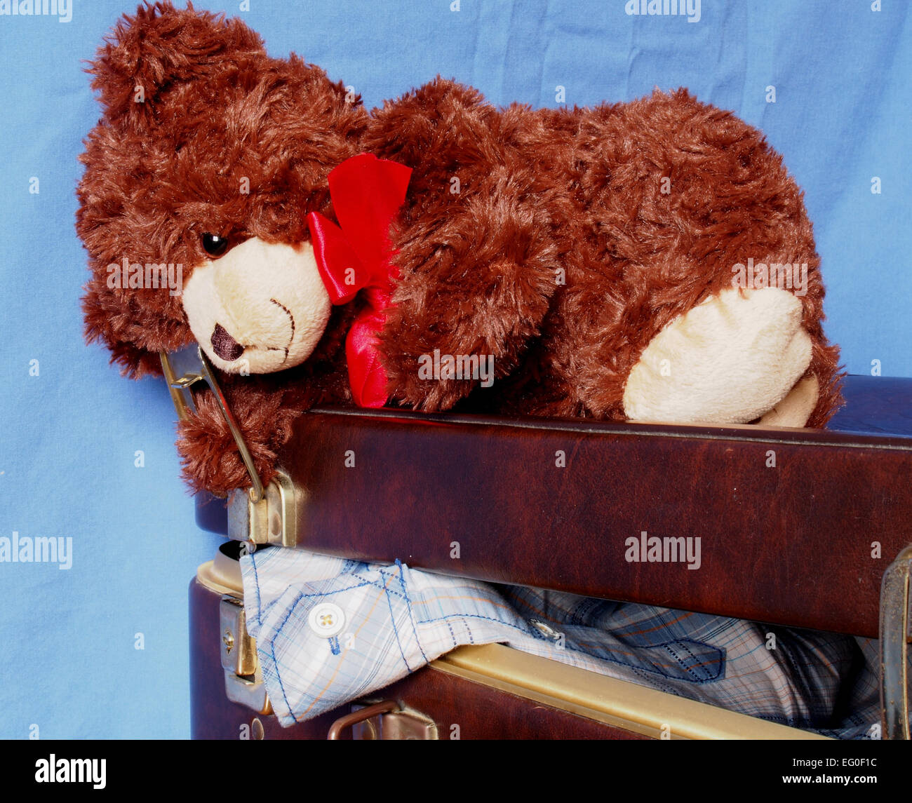 Orsacchiotto di peluche imballaggio per andare in vacanza ma lottando con la valigia Foto Stock