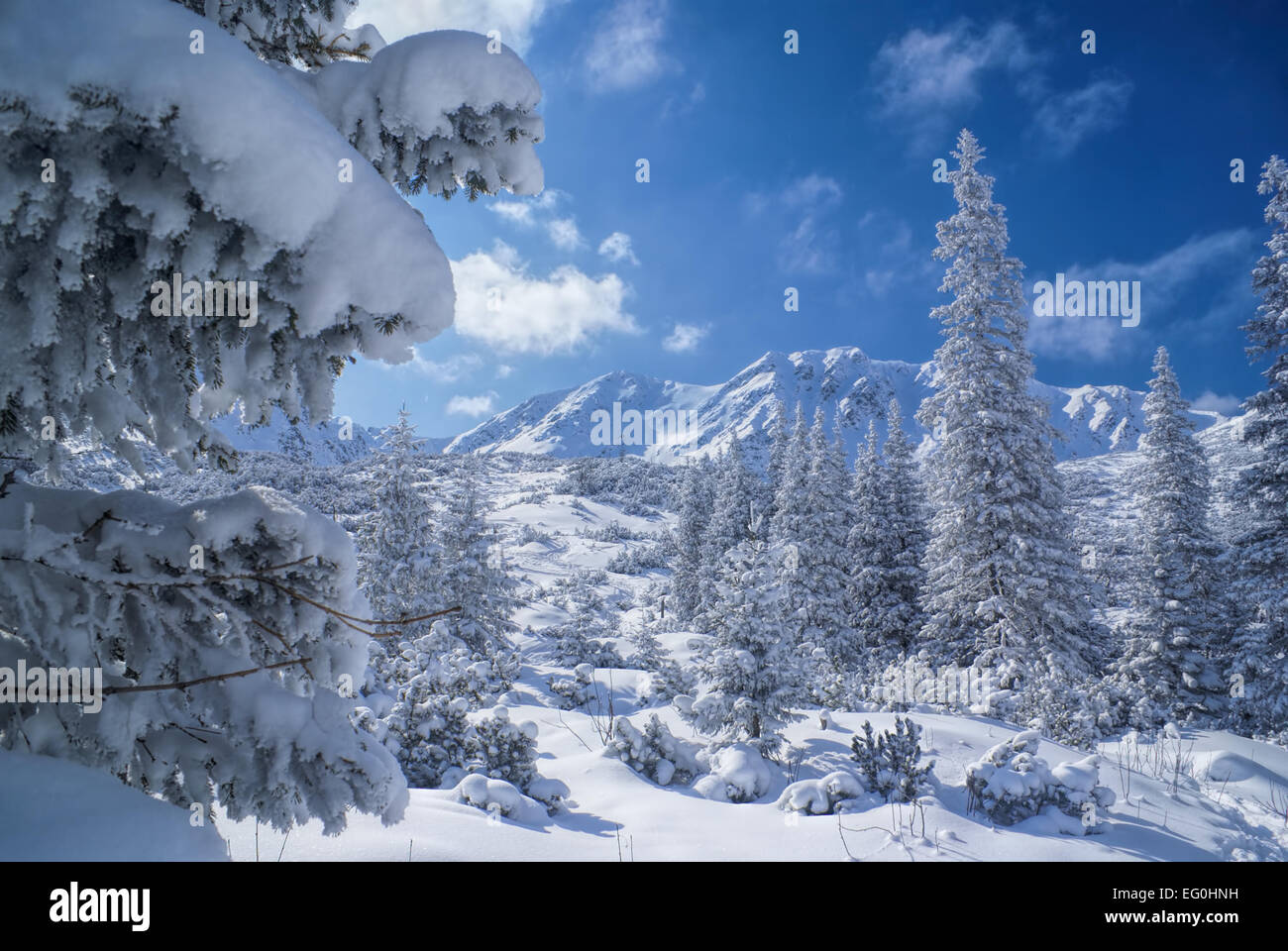 Idilliaco bianco inverno nelle montagne della Slovacchia Foto Stock