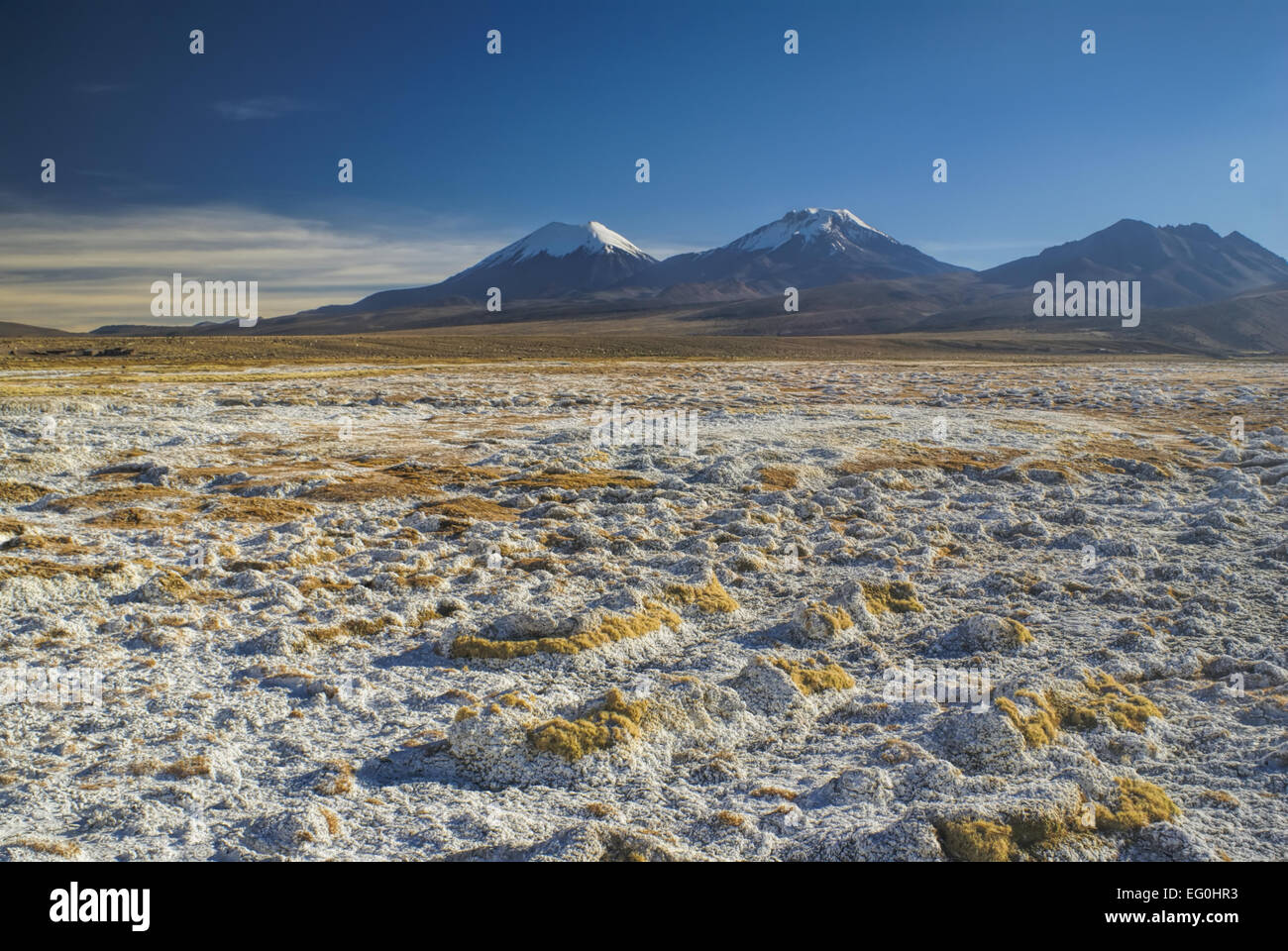 Vista pittoresca del boliviano vulcani Pomerape e Paranicota, picchi più alti in Sajama Parco Nazionale in Bolivia Foto Stock