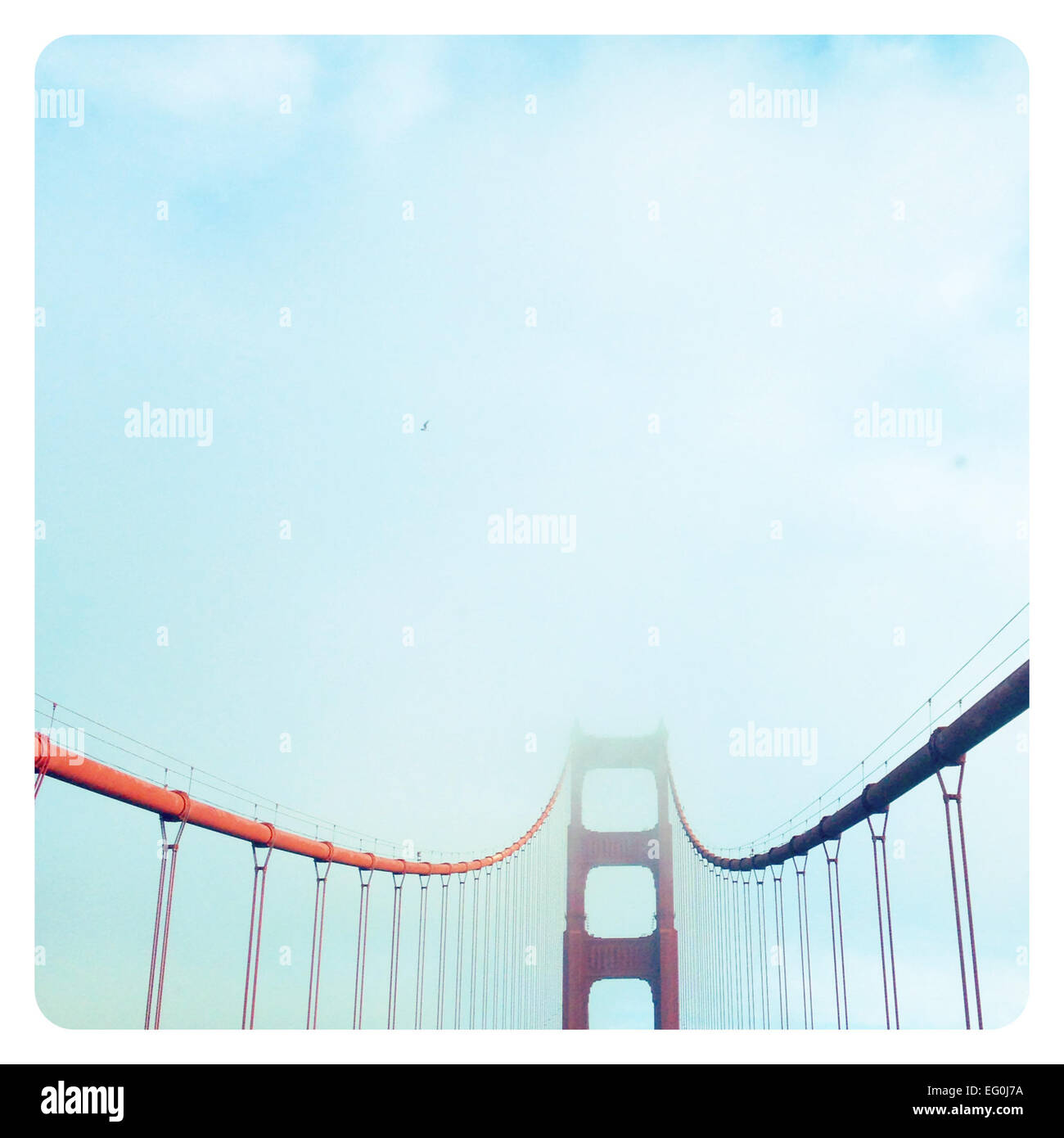 Golden Gate Bridge nella nebbia, San Francisco, California, Stati Uniti Foto Stock