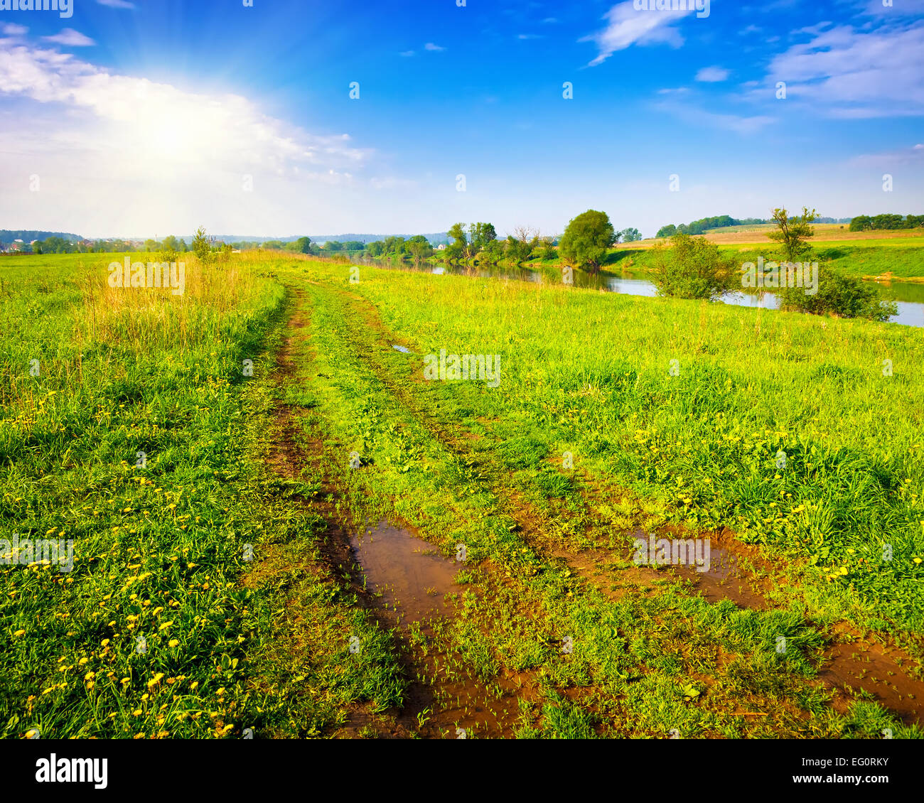 Paesaggio estivo Foto Stock