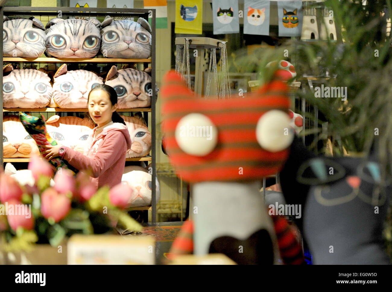 Xiamen, cinese della provincia del Fujian. Xiii Febbraio, 2015. Una ragazza visiti il 'Cat Museum' su Ding'aozai Street a Xiamen, a sud-est della Cina di provincia del Fujian, Feb 13, 2015. Grazie a un rinnovamento urbano piano, Ding'aozai, una volta noto come un antico quartiere della città, è diventata un tema street su cat cultura e un posto che merita una visita. © Lin Shanchuan/Xinhua/Alamy Live News Foto Stock