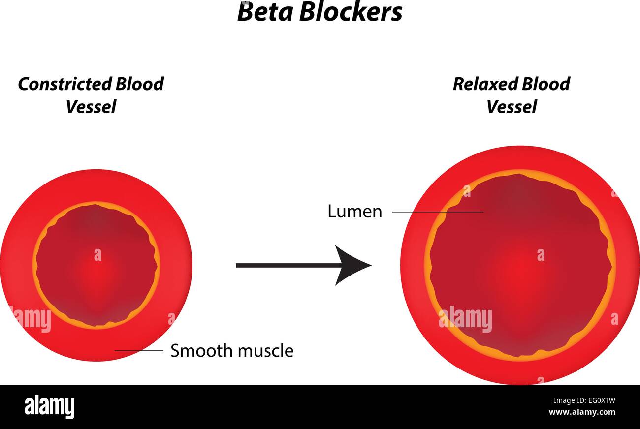 Beta-bloccanti Illustrazione Vettoriale