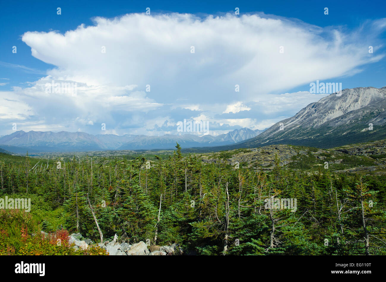 Tempesta avvicinando il Klondike valley Foto Stock