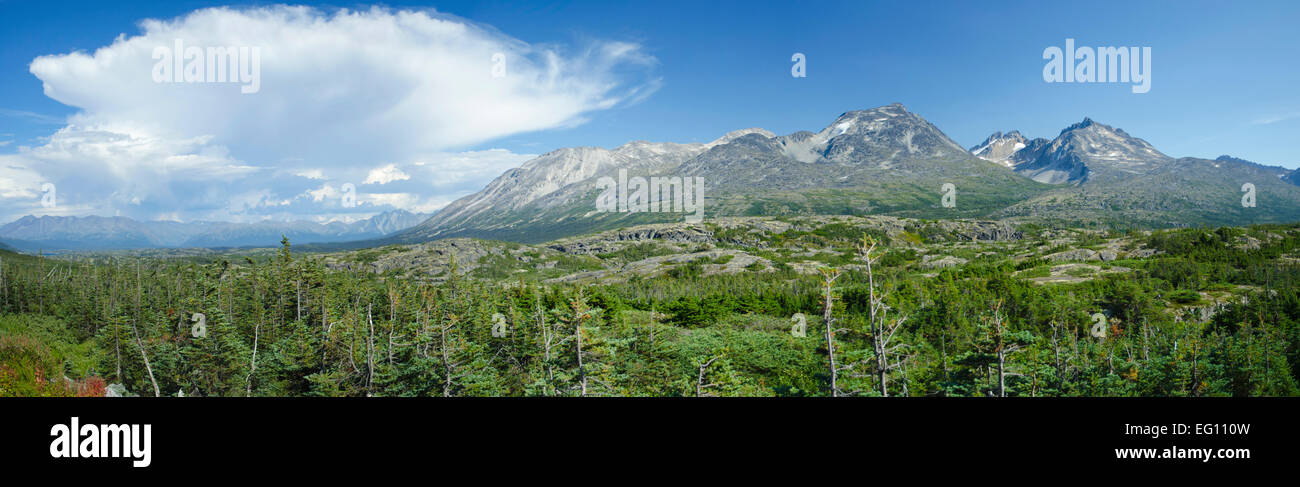Tempesta avvicinando il Klondike valley, Yukon - Alaska frontiera, Vista panoramica Foto Stock