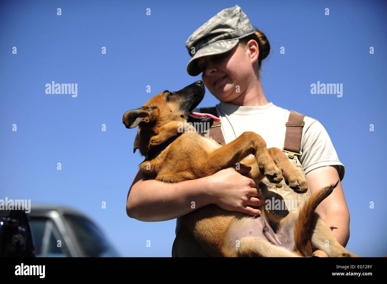 Il personale Sgt. Christa Quam trattiene il suo cucciolo che entrerà i militari cane da lavoro programma in un anno su Lackland AFB, San Antonio, Texas. Lavoro militare i cani sono iscritti in un 60 a 90 giorno del programma di formazione in cui vengono insegnate per rilevare esplosivi e droghe. Essi sono anche insegnato la dissuasione del training e il modo per proteggere il loro gestore. Senior Airman Christopher Griffin Foto Stock