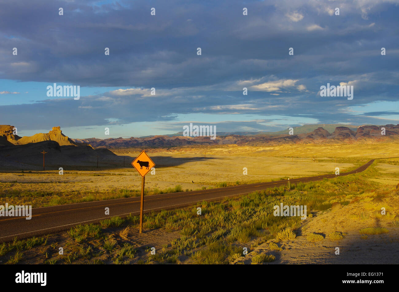 Segno di avvertimento di vacche sulla Highway 24, vicino a Capital Reef National Park nello Utah, Stati Uniti. Foto Stock