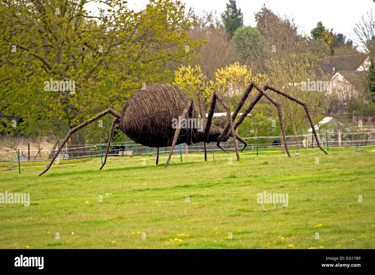 Il ragno gigante giardino scultura suffolk Foto Stock