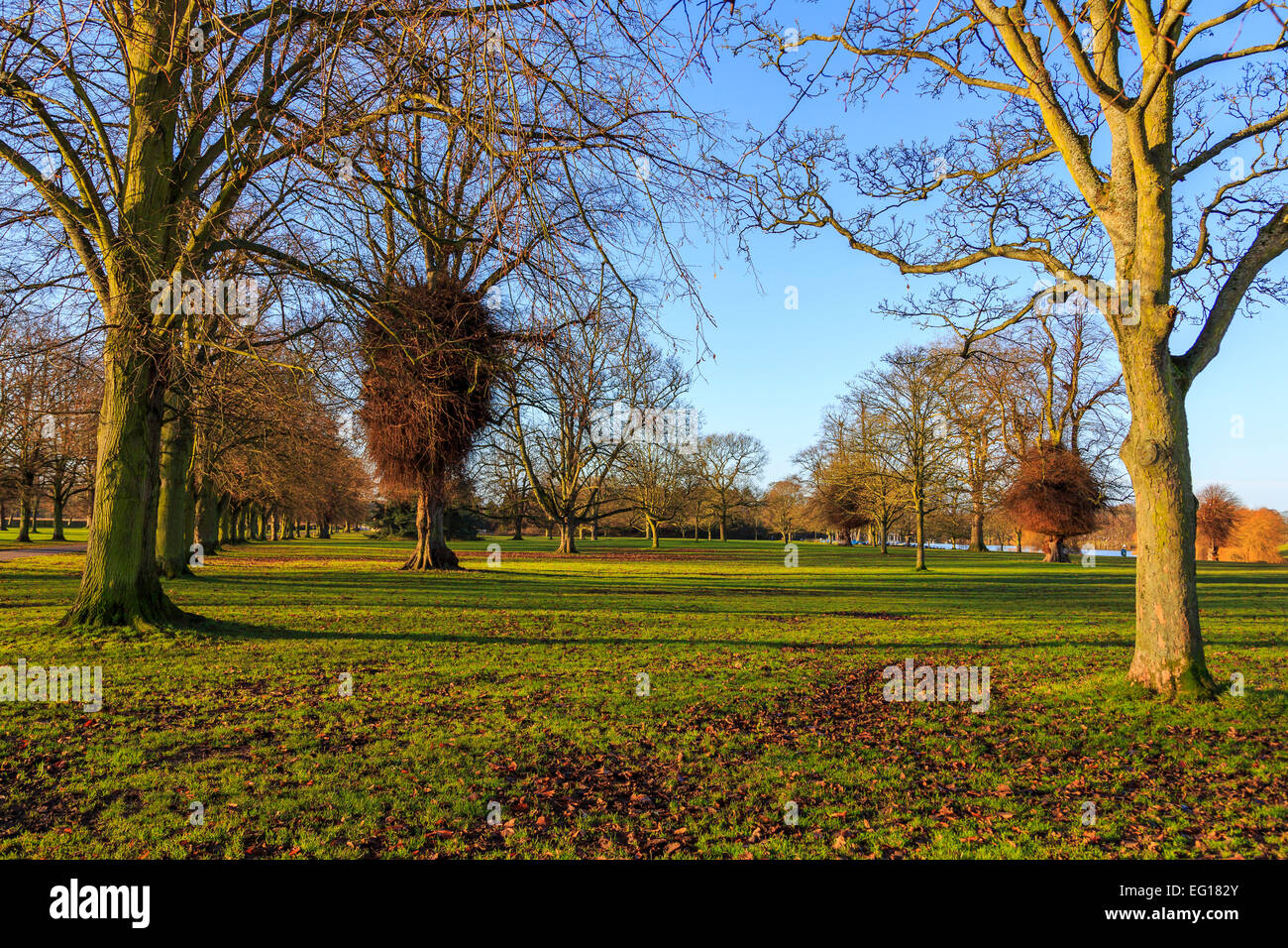 Scenic ;paesaggi di Himley Hall & Park a Dudley, West Midlands - Il Black Country...? Foto Stock