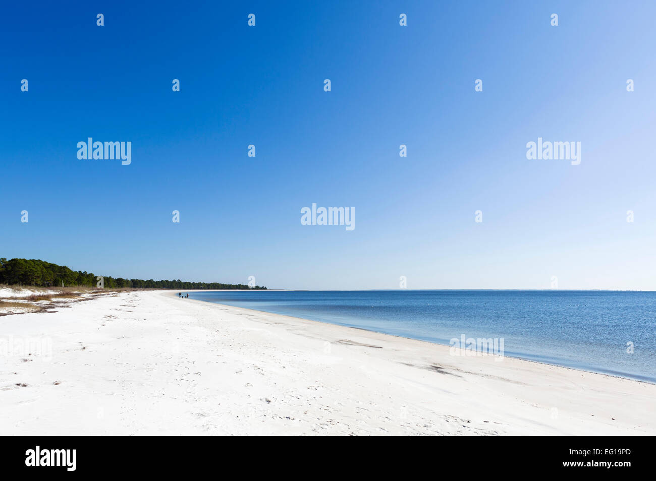 Carrabelle Beach sulla US 98 a nord ovest di Apalachicola, Franklin County, Florida, Stati Uniti d'America Foto Stock