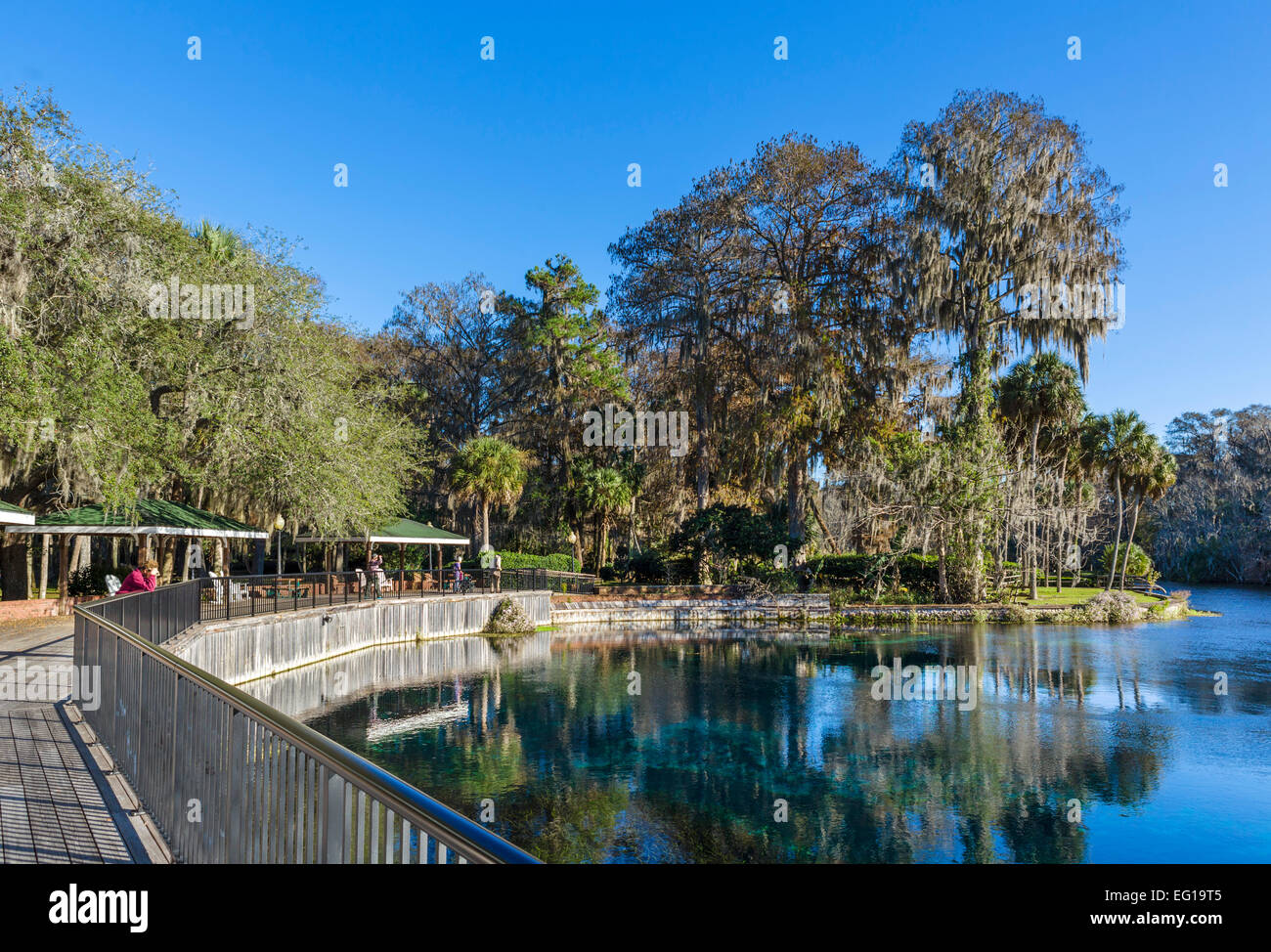 Atterraggio sul fiume d'argento in Silver Springs State Park, vicino a Ocala, Marion County, Florida, Stati Uniti d'America Foto Stock