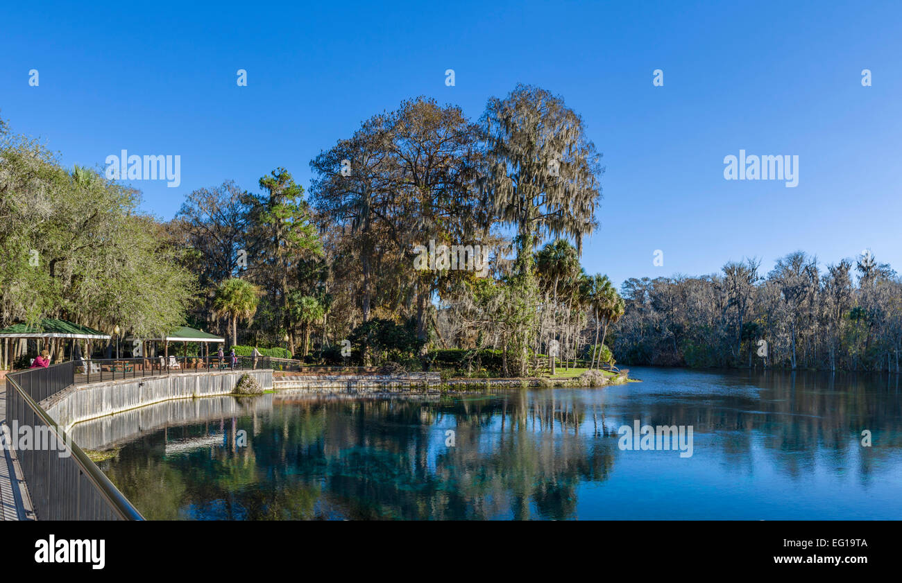 Atterraggio sul fiume d'argento in Silver Springs State Park, vicino a Ocala, Marion County, Florida, Stati Uniti d'America Foto Stock