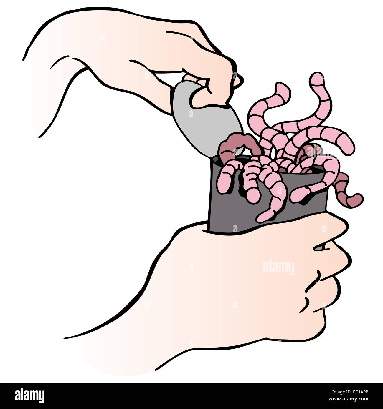 Un'immagine delle mani di aprire una lattina di worms. Foto Stock