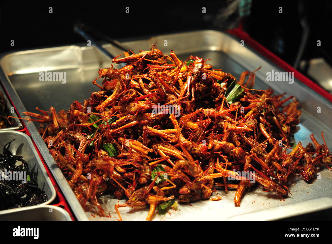 Insetti fritti su un Nightmarket a Bangkok, in Thailandia. Foto Stock