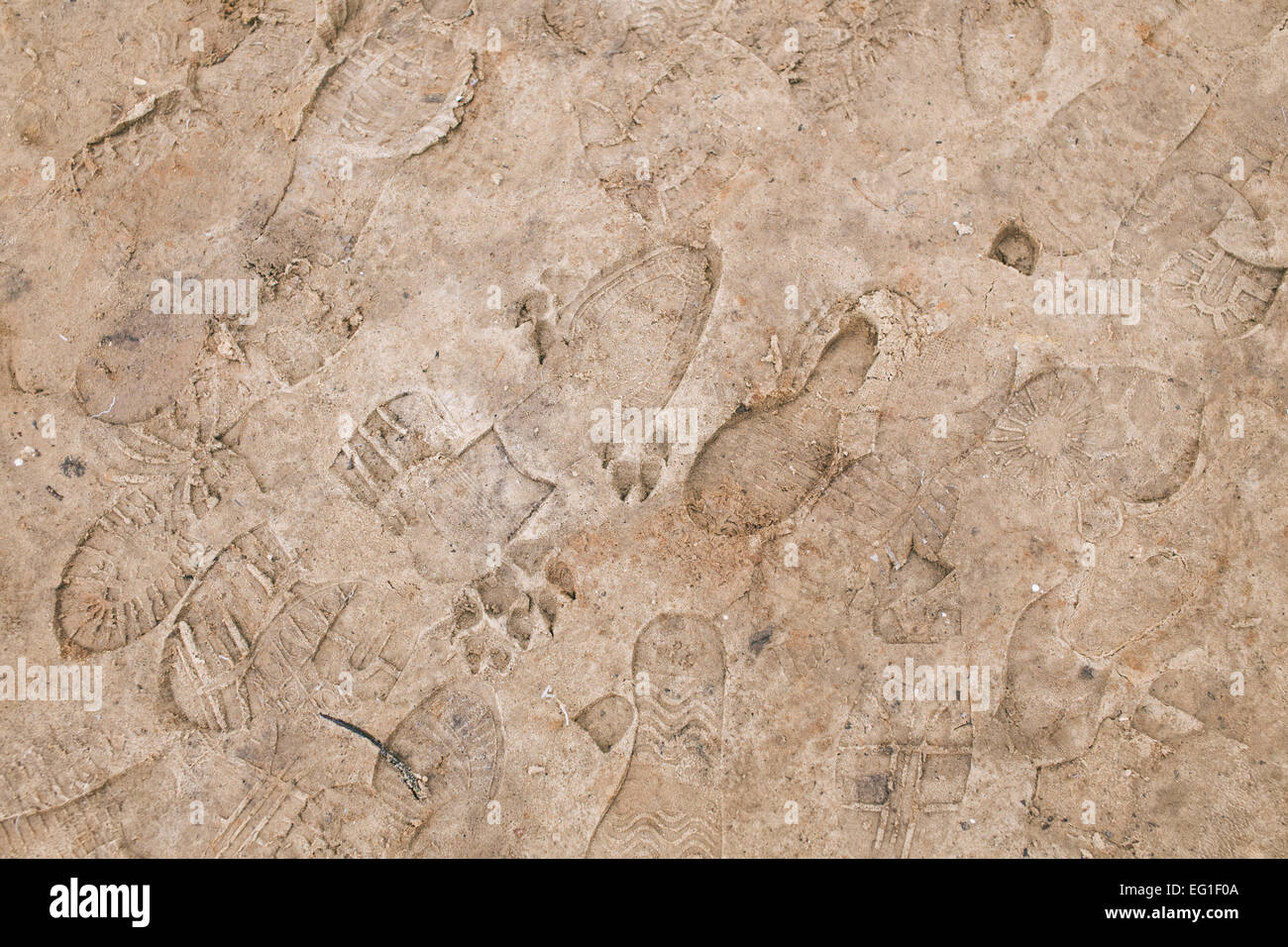 Gli uomini le impronte sul suolo ghiacciato in inverno mattina Foto Stock