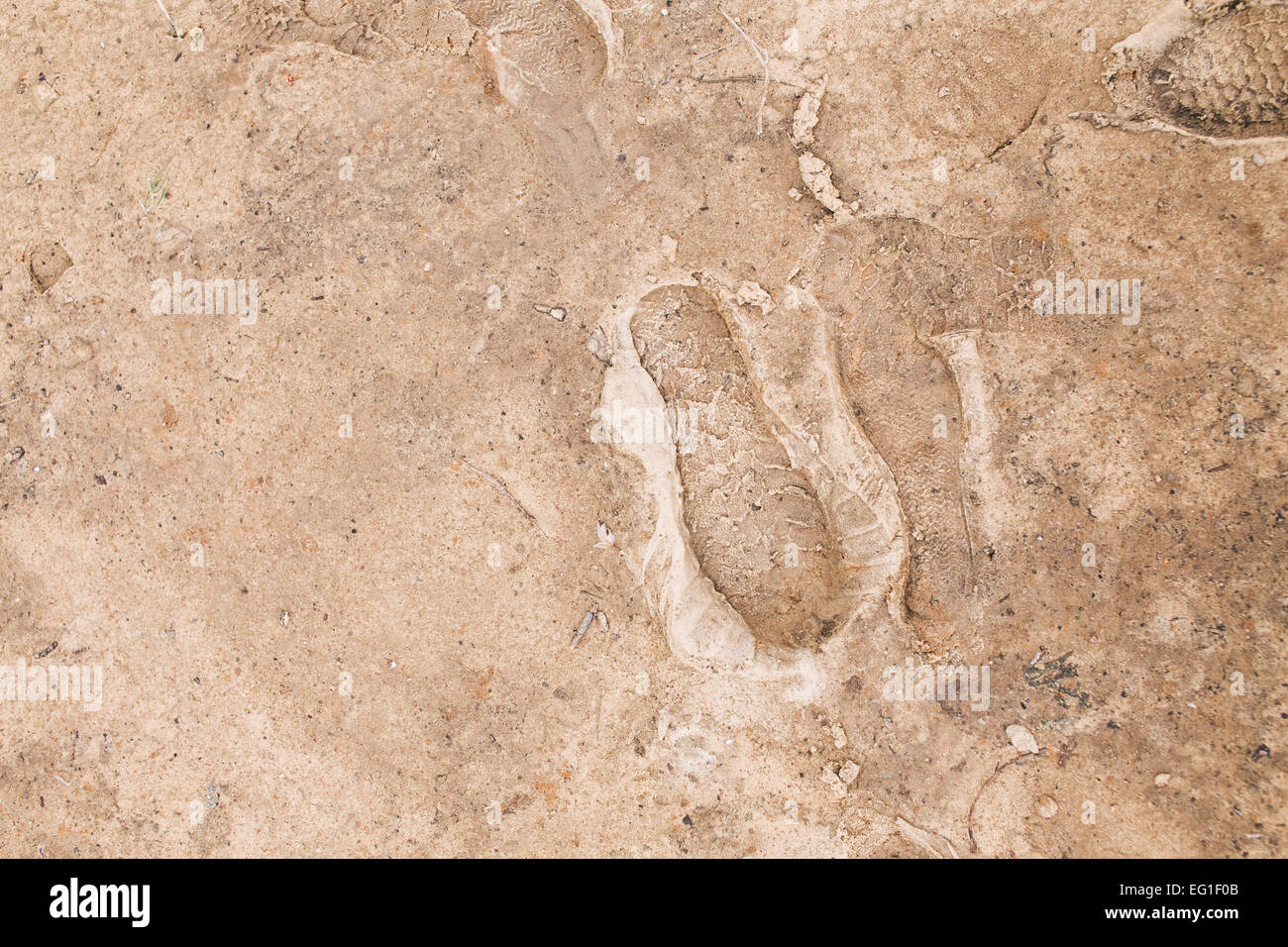 Gli uomini le impronte sul suolo ghiacciato in inverno mattina Foto Stock