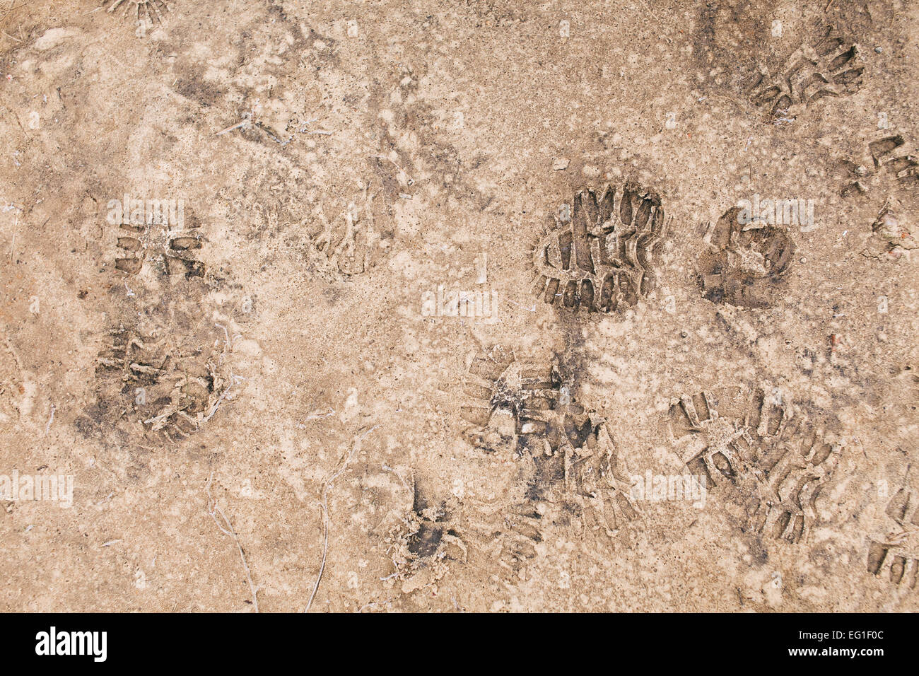 Gli uomini le impronte sul suolo ghiacciato in inverno mattina Foto Stock