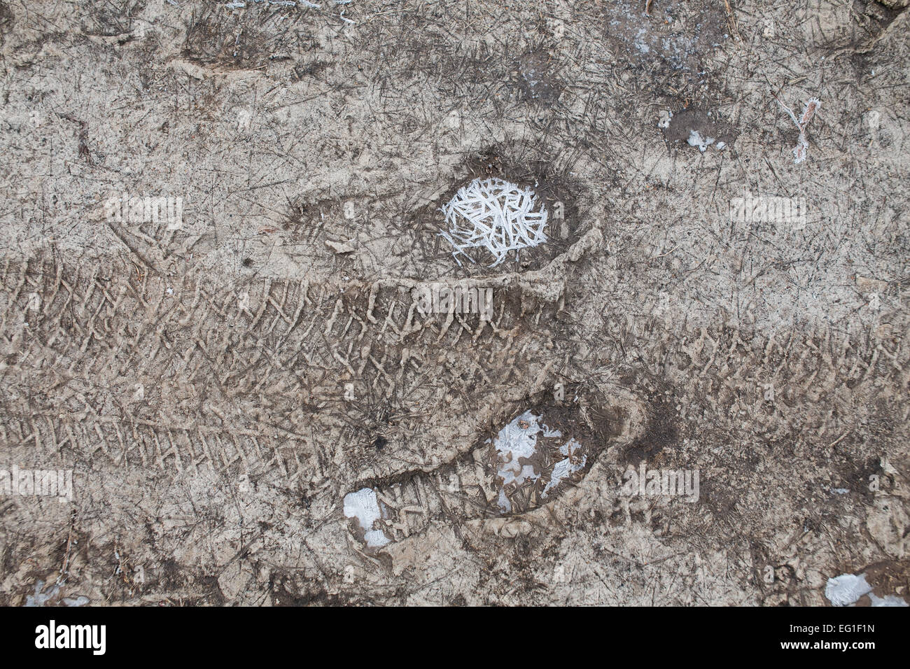 Gli uomini le impronte sul suolo ghiacciato in inverno mattina Foto Stock