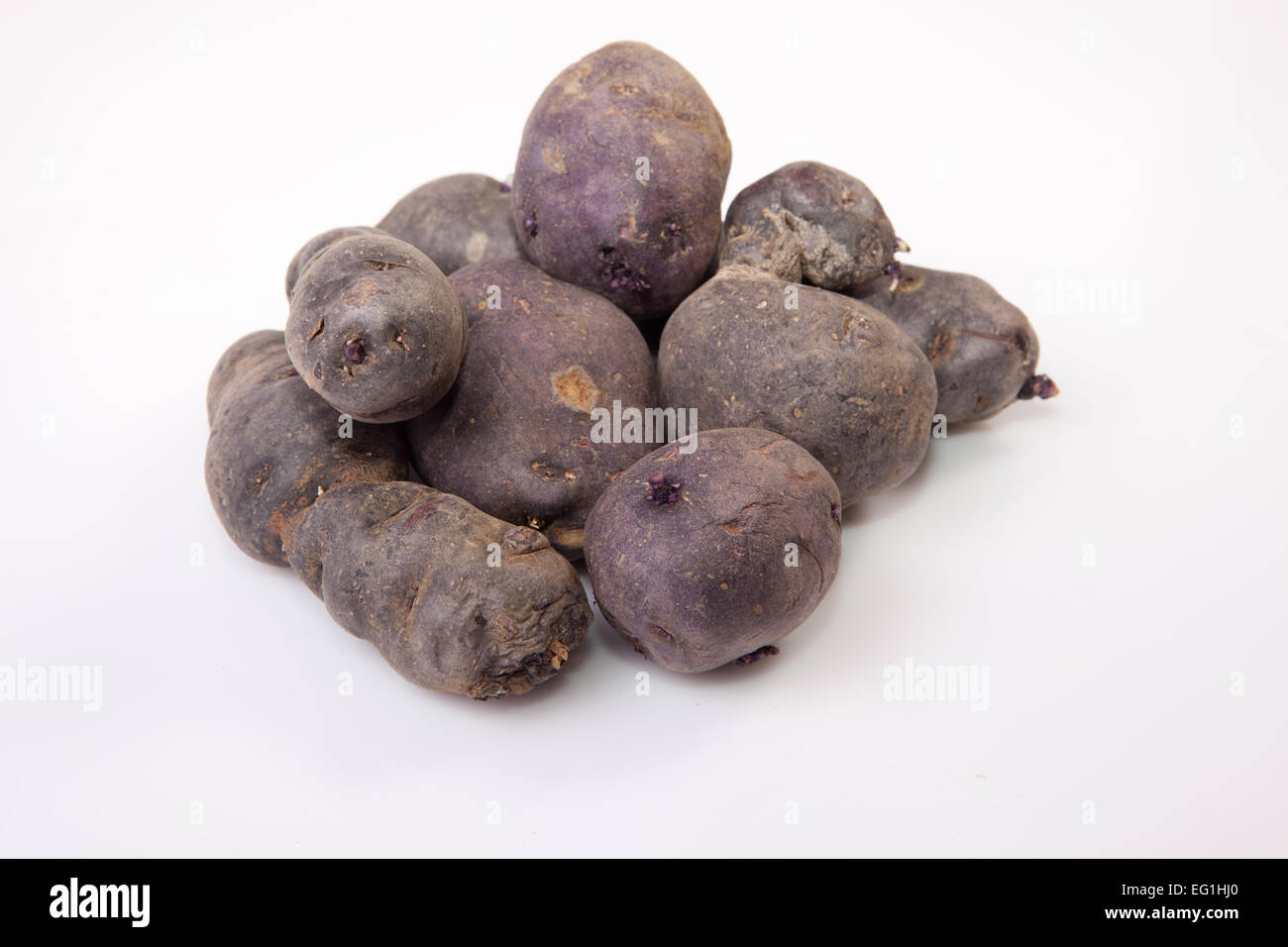 Viola patate Vitelotte. Isolato su sfondo bianco Foto Stock